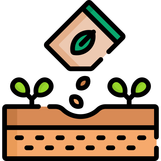 seeds